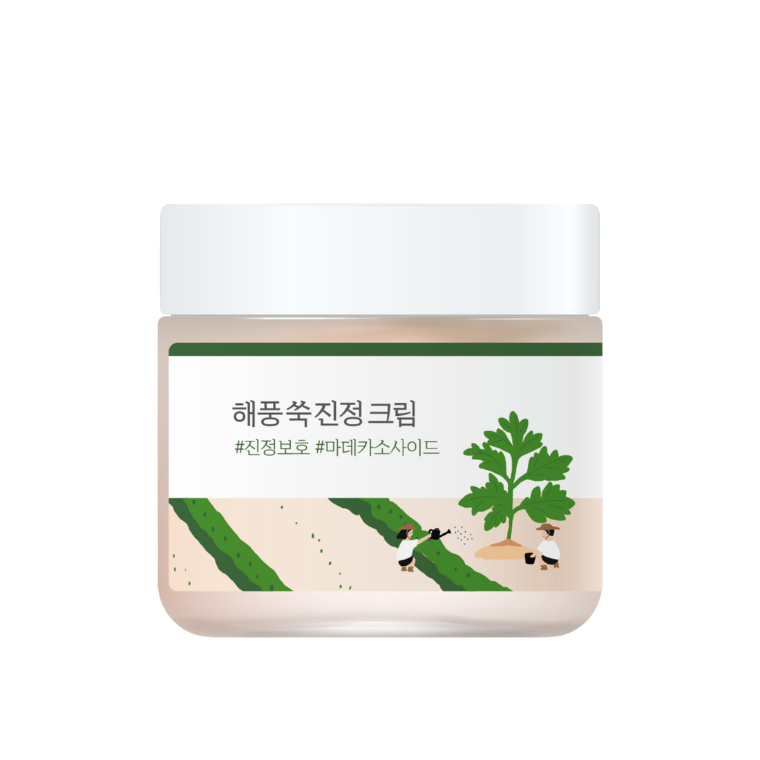 ROUND LAB Mugwort Calming Cream 80ml